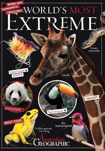 World's Most Extreme