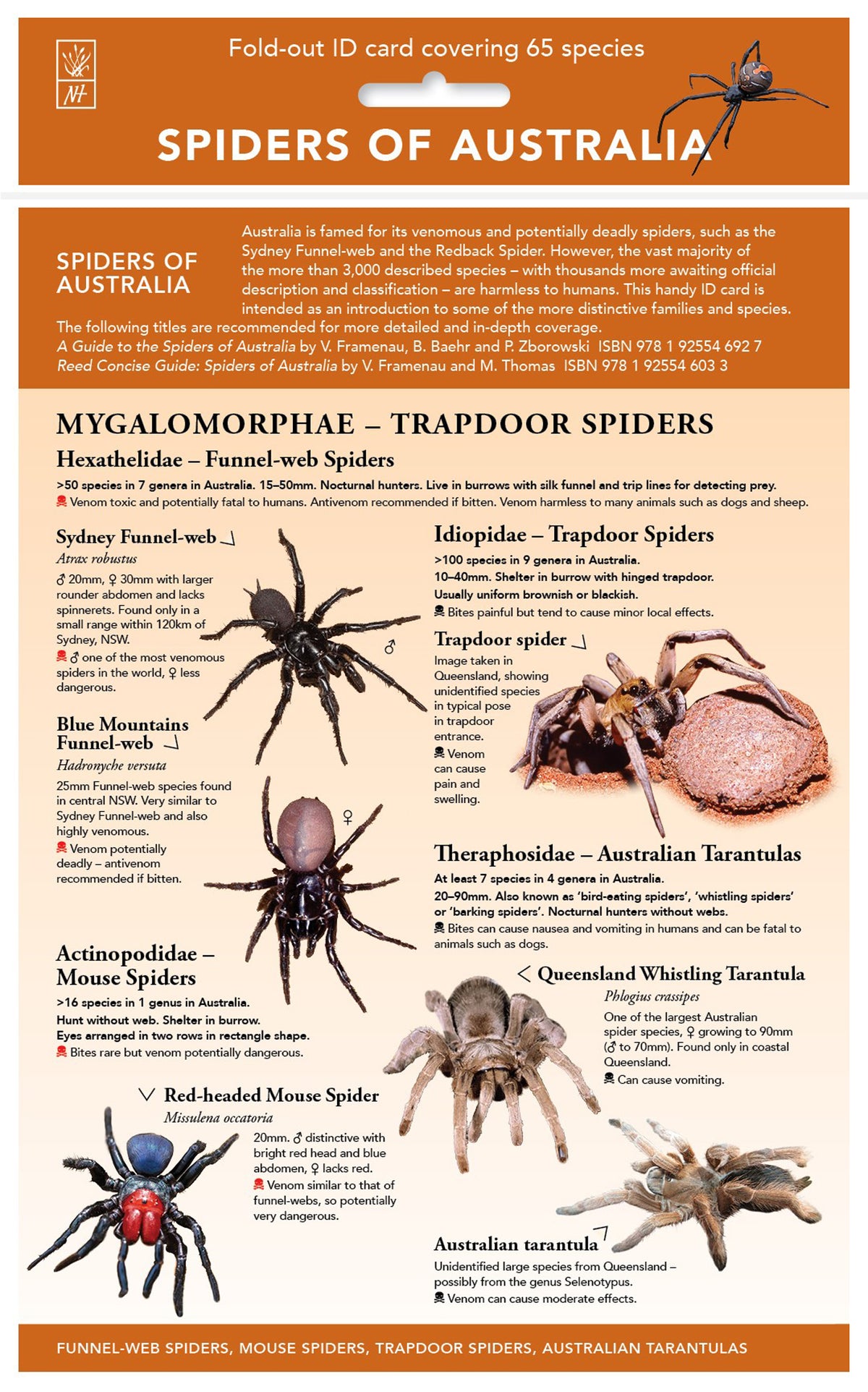 Spiders of Australia - ID Chart