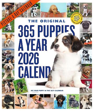 365 Puppies-A-Year Picture-A-Day Wall Calendar 2026