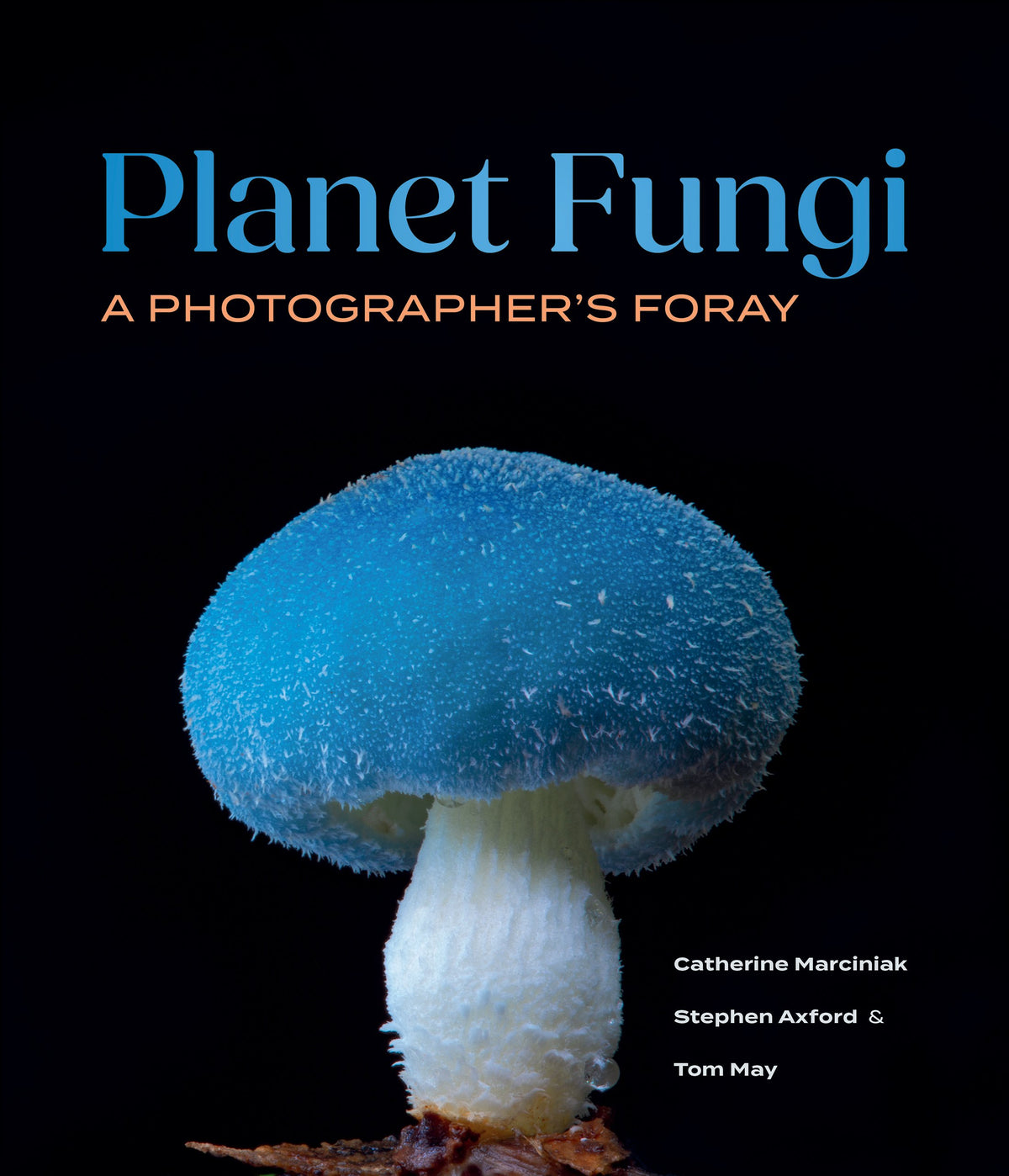 Planet Fungi A Photographer's Foray