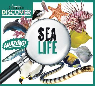 AG Discover: Sea Life