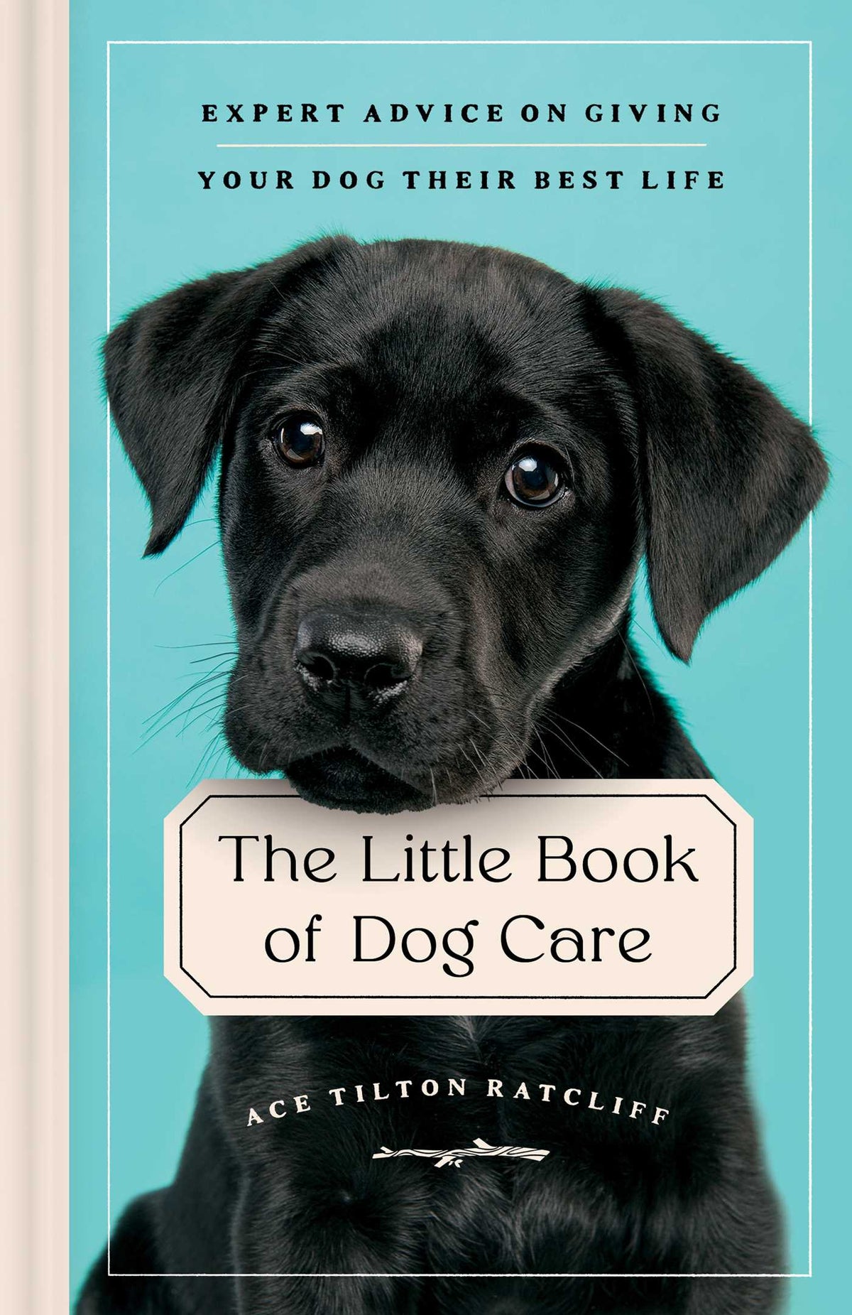 The Little Book of Dog Care Expert Advice on Giving Your Dog Their Best Life