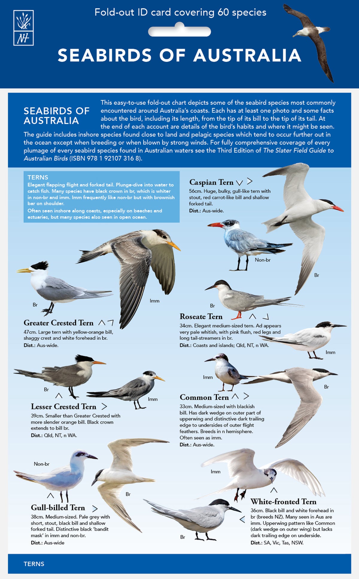 Seabirds of Australia - ID Chart