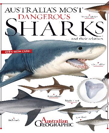 Australia's Most Dangerous Sharks