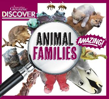 AG Discover: Animal Families