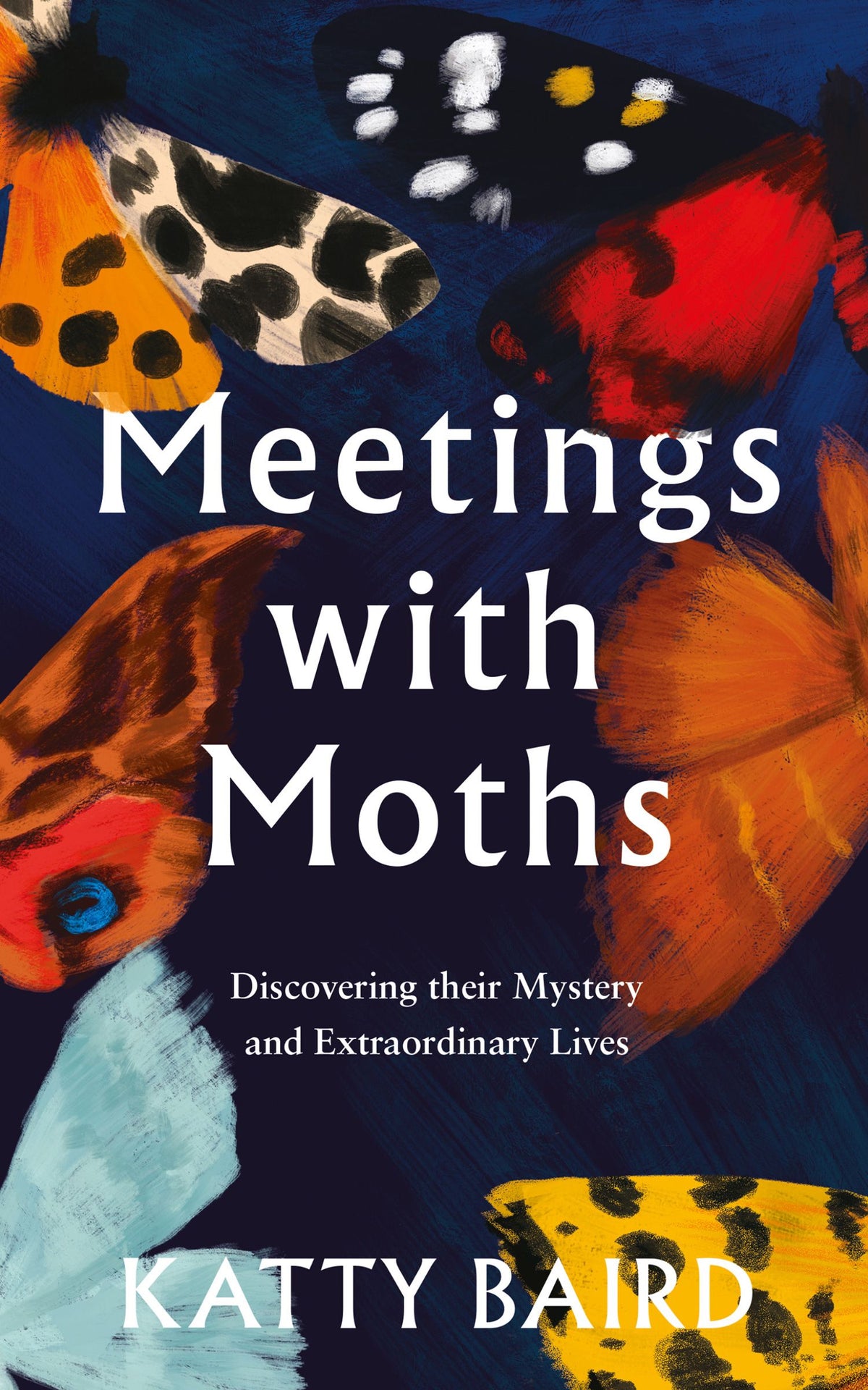 Meeting with Moths Discovering their Mystery and Extraordinary Lives