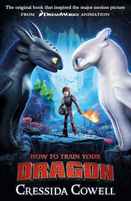 How to Train Your Dragon (Book 1)