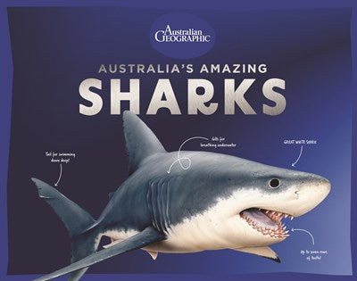 Australia’s Amazing Sharks