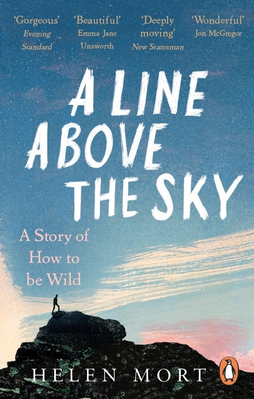 A Line Above the Sky 2