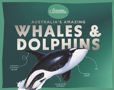 Australia’s Amazing Whales and Dolphins