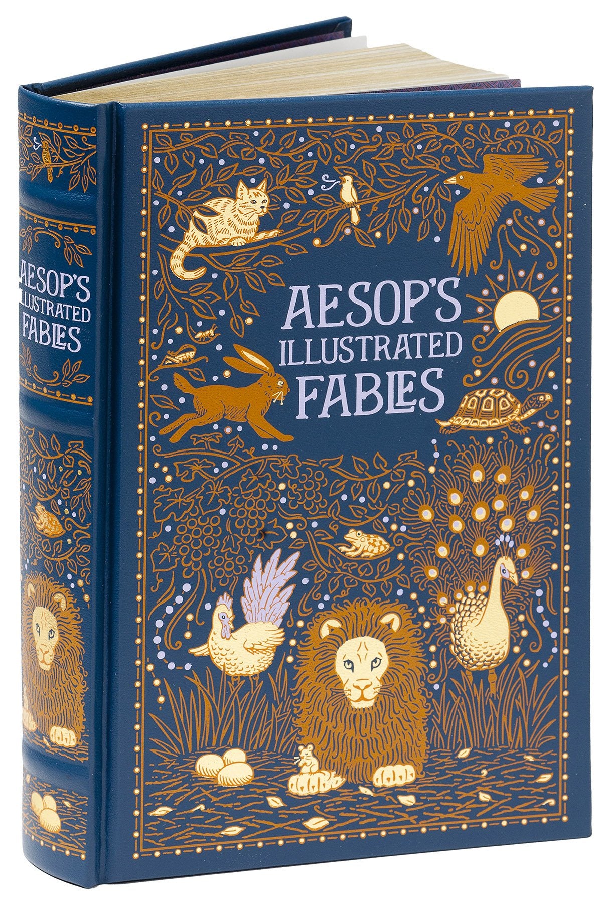 Aesop's Illustrated Fables (Barnes & Noble Collectible Classics: Omnibus Edition)