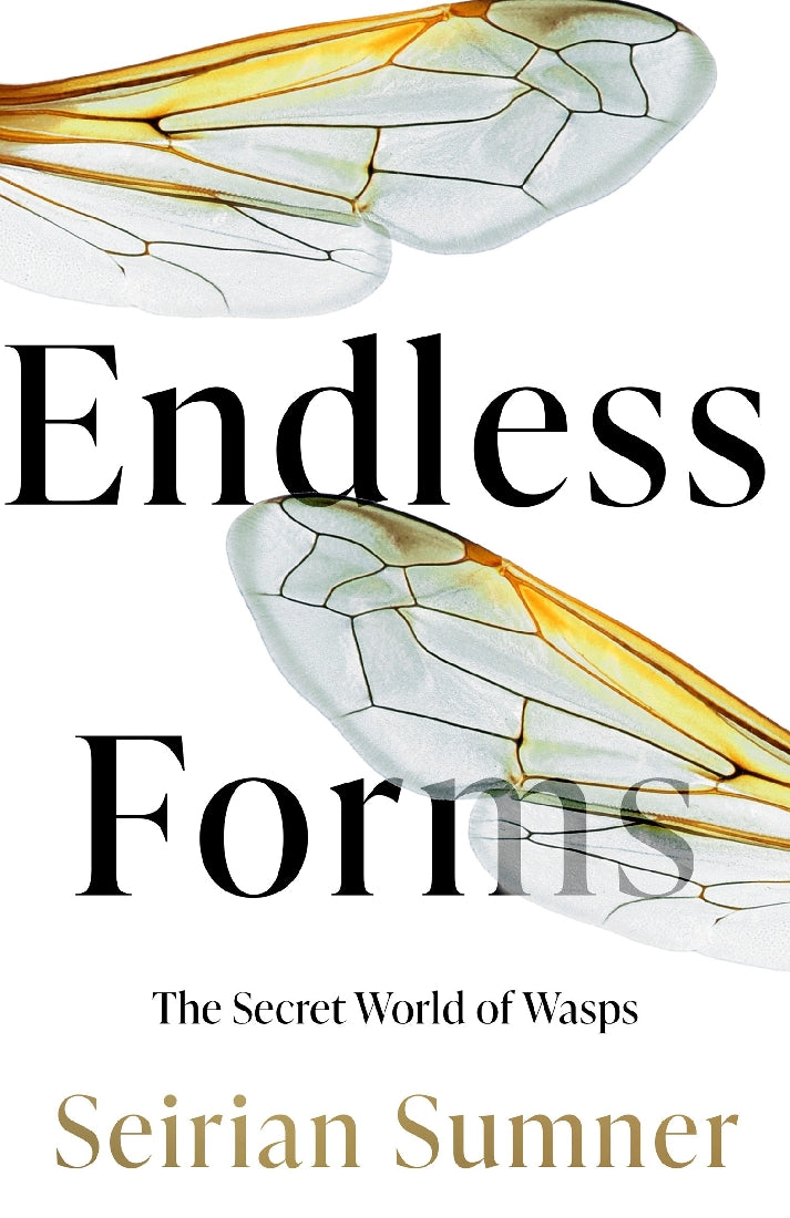 Endless Forms: The Secret World of Wasps