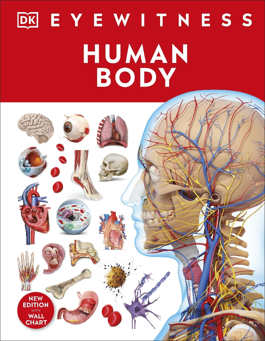 Human Body 2