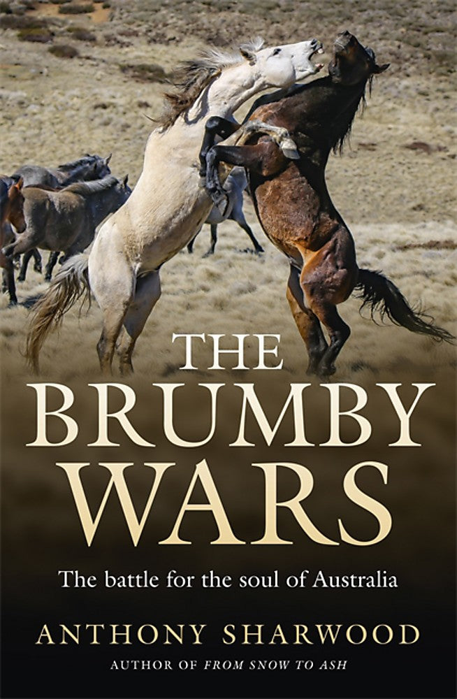 The Brumby Wars