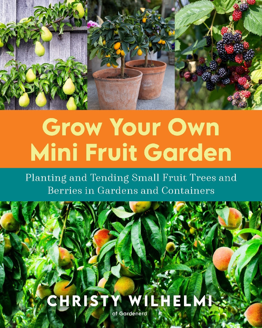 Grow Your Own Mini Fruit Garden