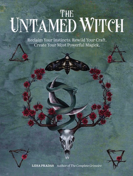 The Untamed Witch