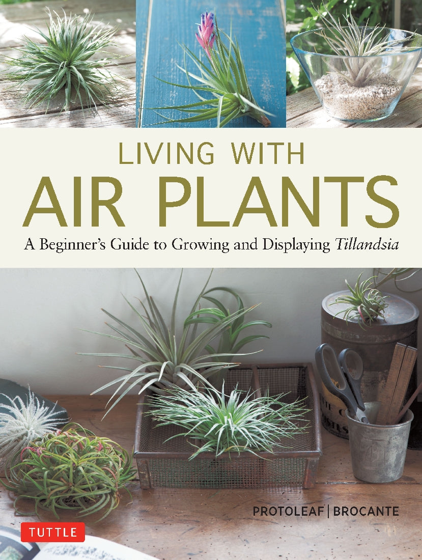 Living with Air Plants