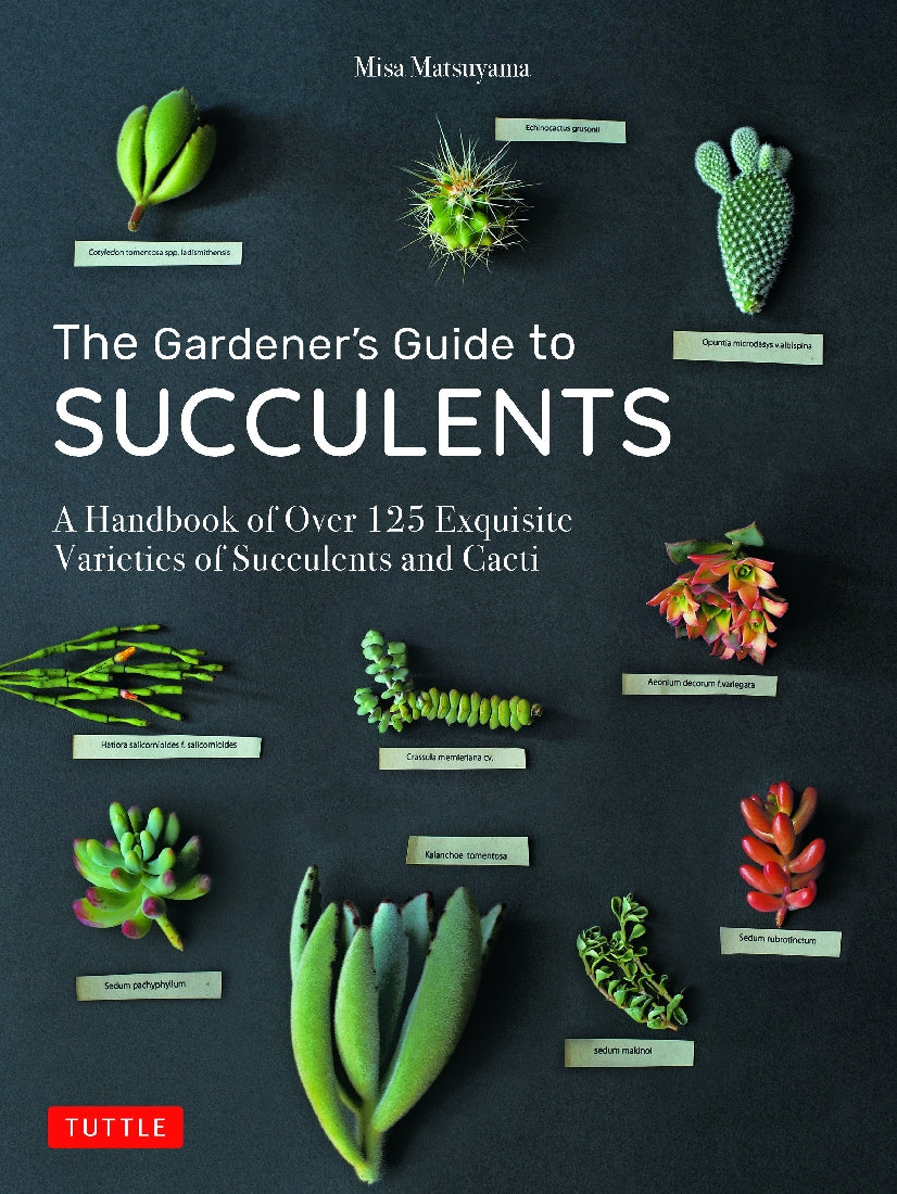 The Gardener's Guide to Succulents