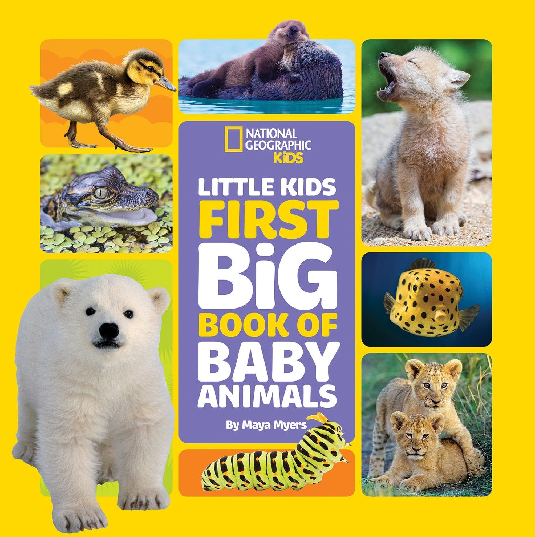 Little Kids First Big Book of Baby Animals