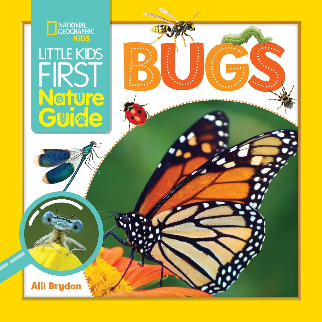 Little Kids First Nature Guide Bugs