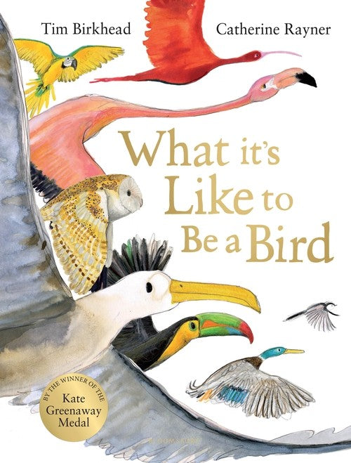 What it is Like to be a Bird