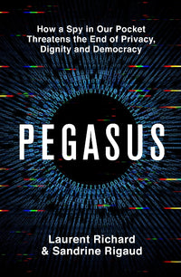 Load image into Gallery viewer, Pegasus
