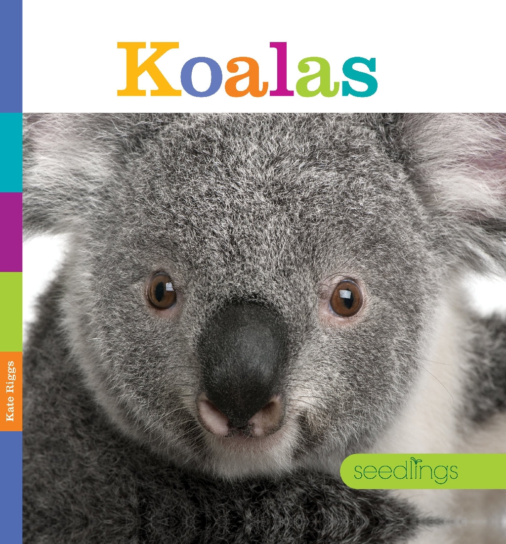 Koalas