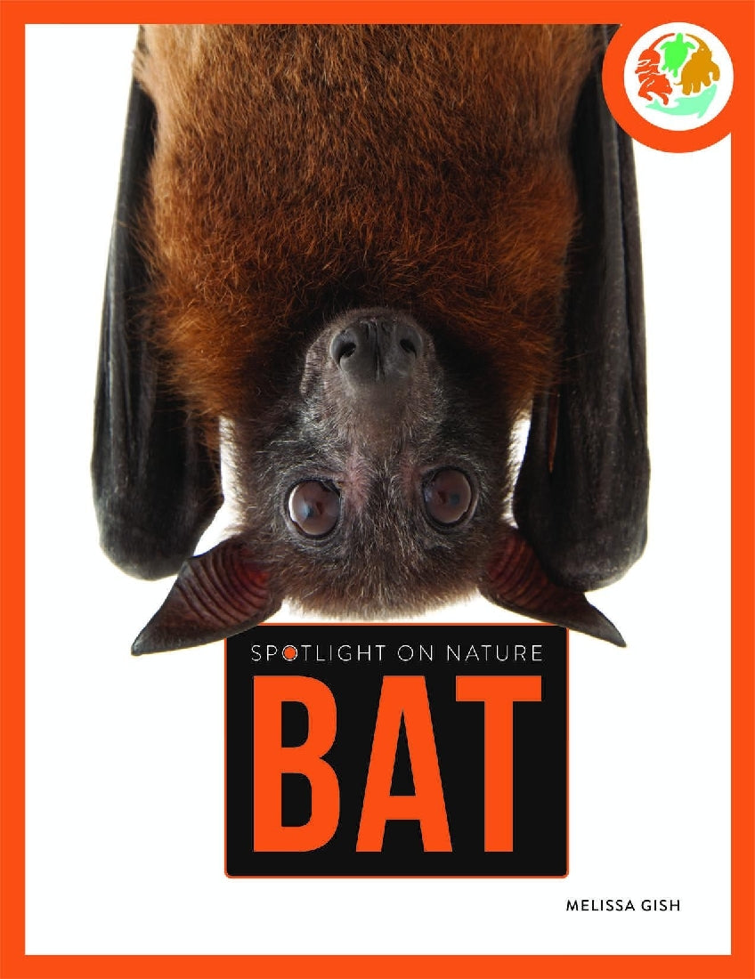 Spotlight on Nature: Bat