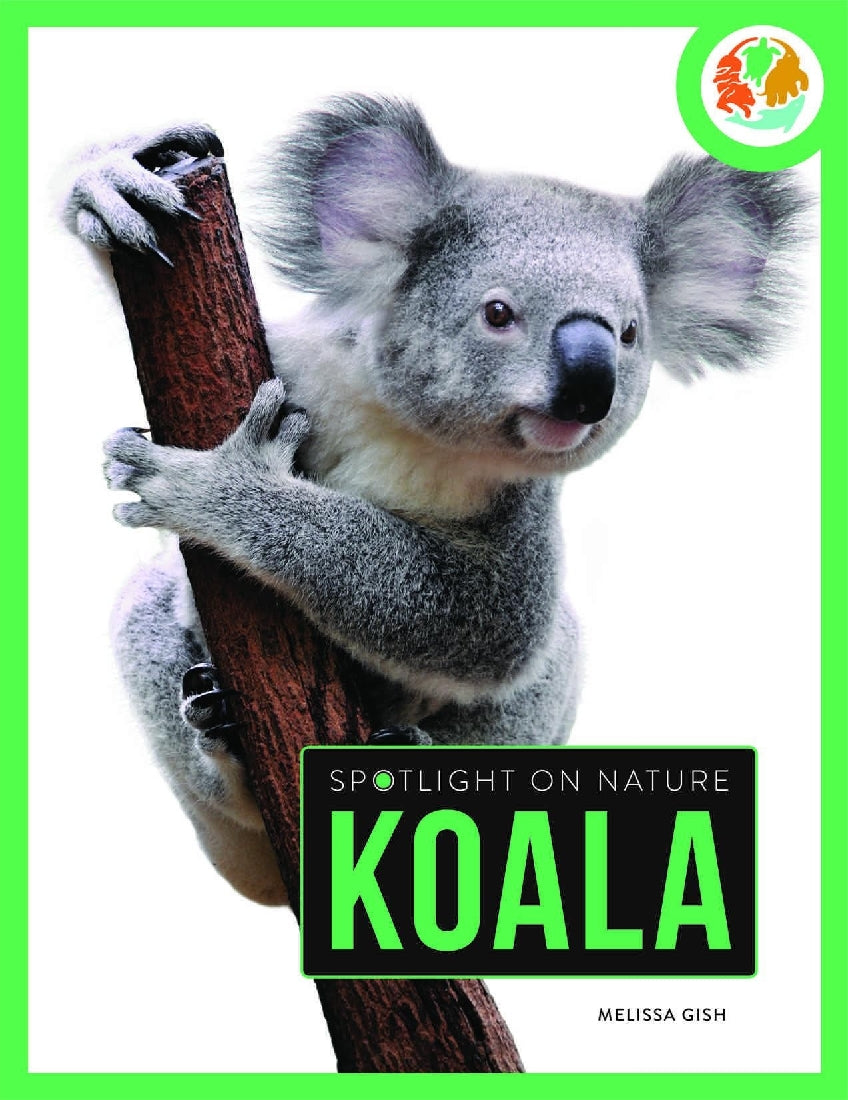 Spotlight on Nature: Koala