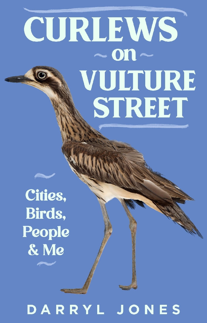 Curlews on Vulture Street