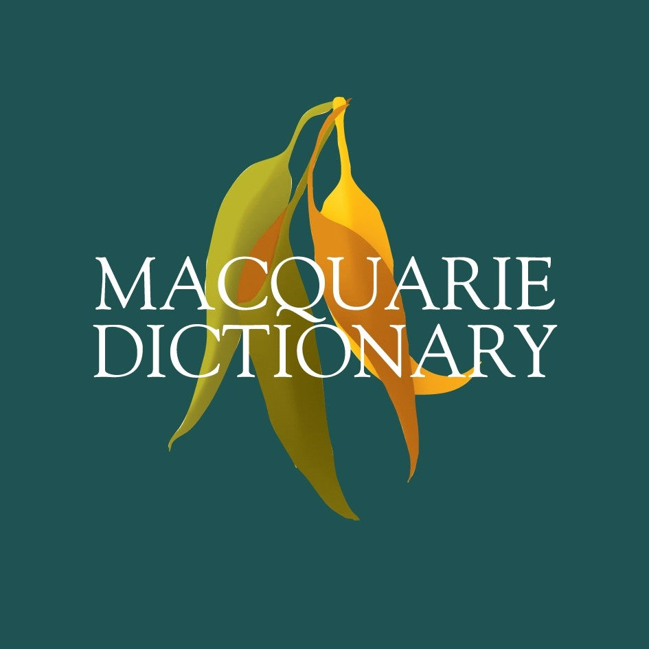 Macquarie Budget Dictionary (PVC)