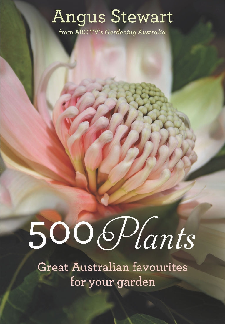 500 Plants: Great Australian Favourites for Your Garden