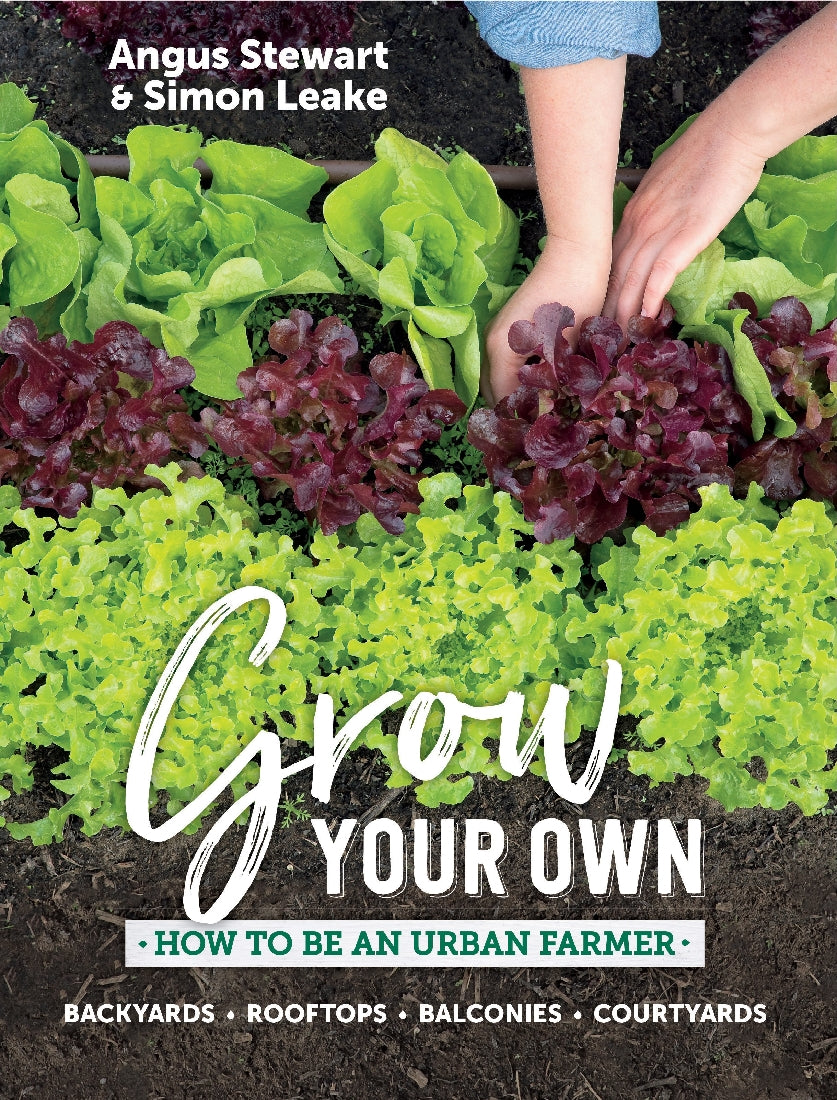 Grow Your Own: How to be an Urban Farmer