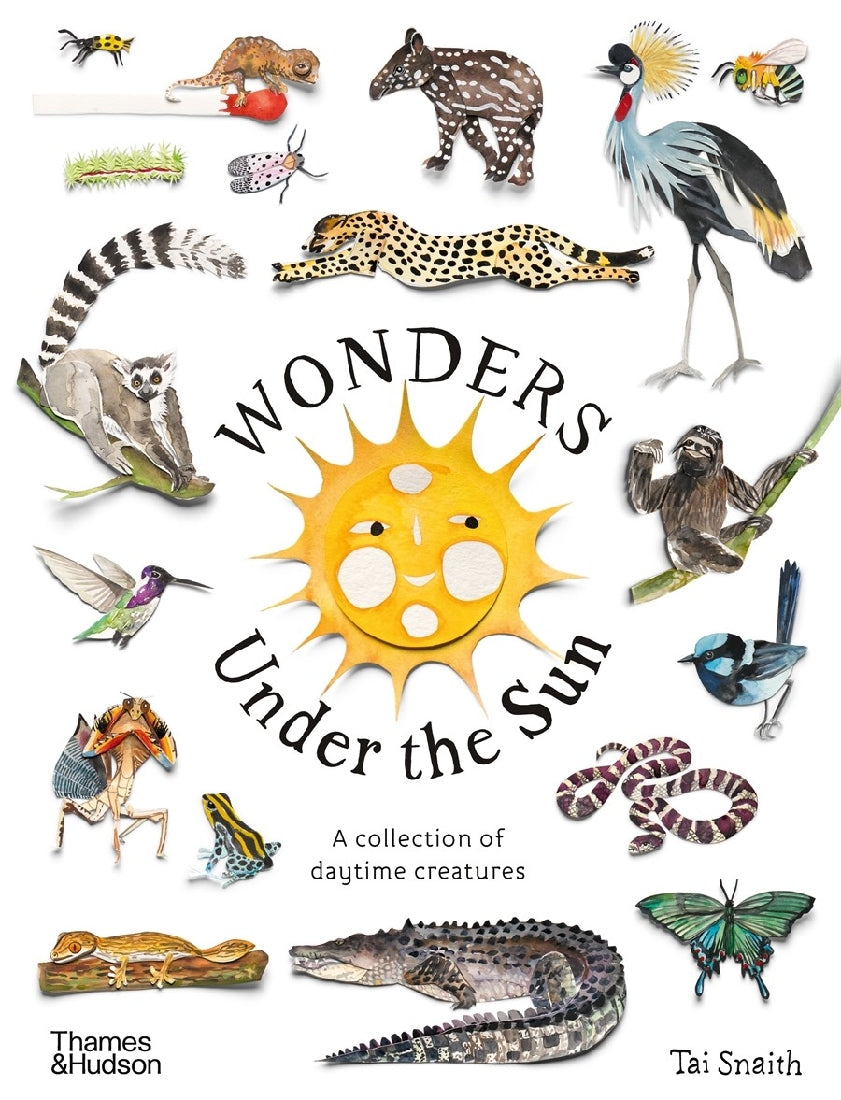 Wonders Under the Sun