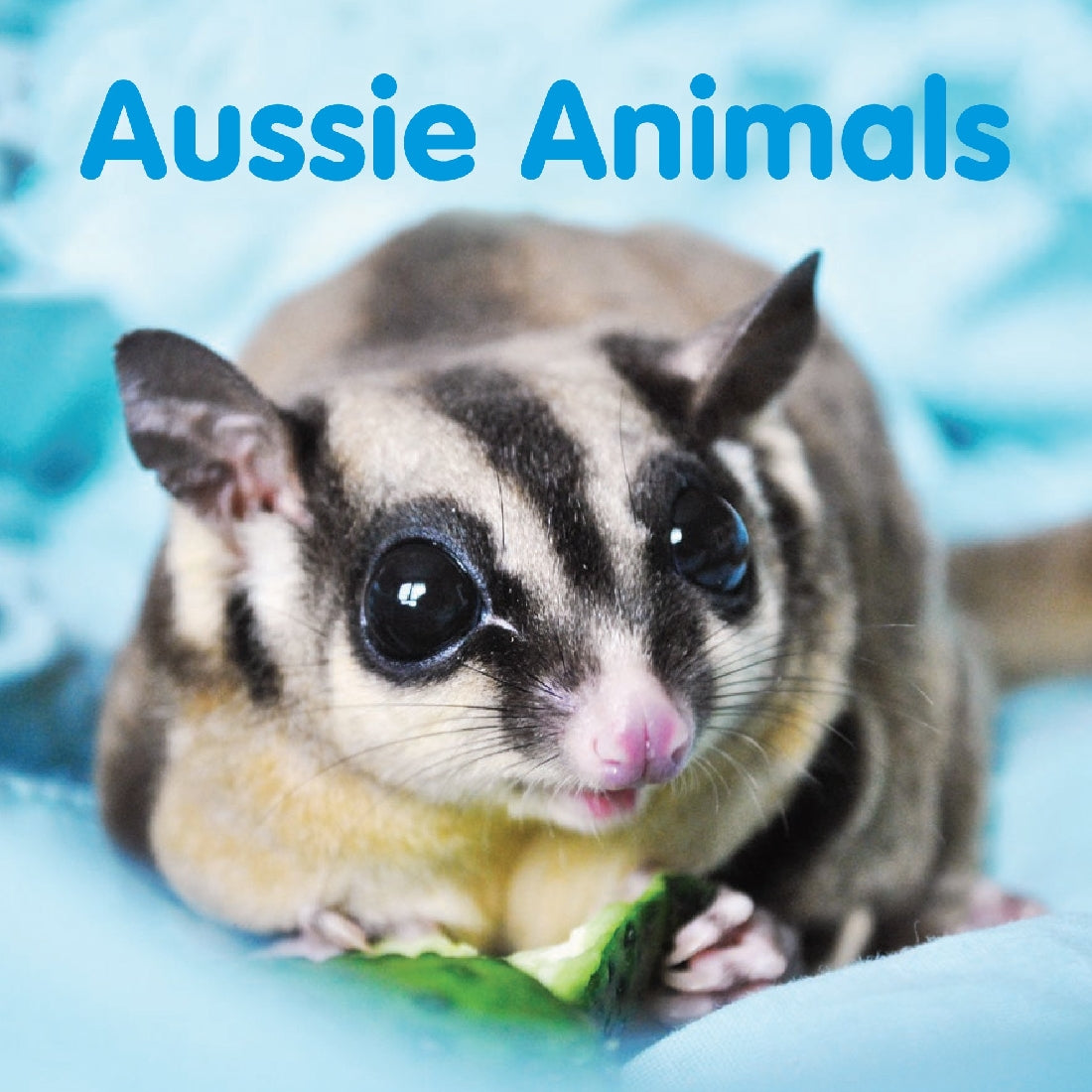 Aussie Animals Board Book