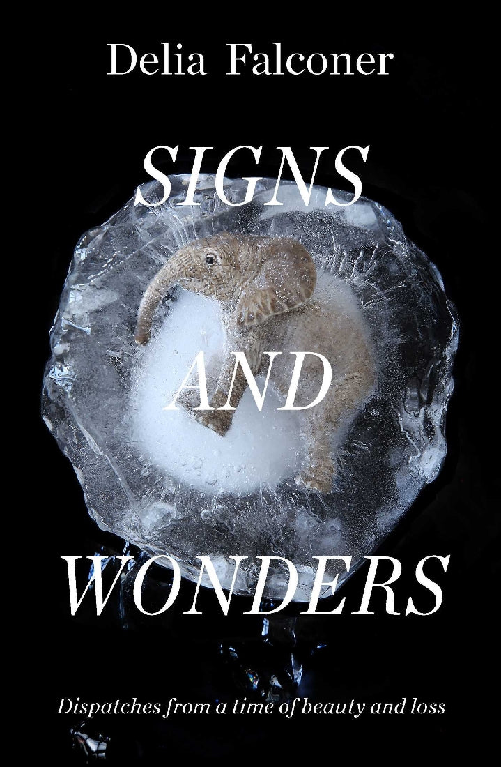 Signs and Wonders: Dispatches from a time of beauty and loss