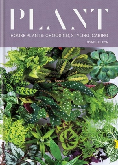 Plant House plants: choosing, styling, caring by Gynelle Leon