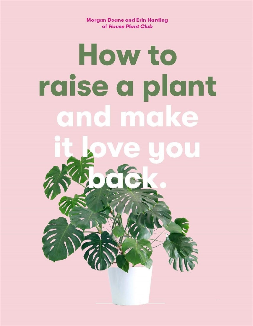 How to Raise a Plant and make it love you back