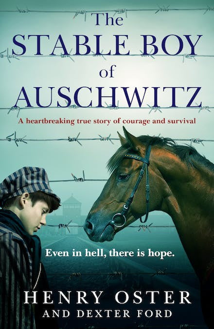 The Stable Boy of Auschwitz