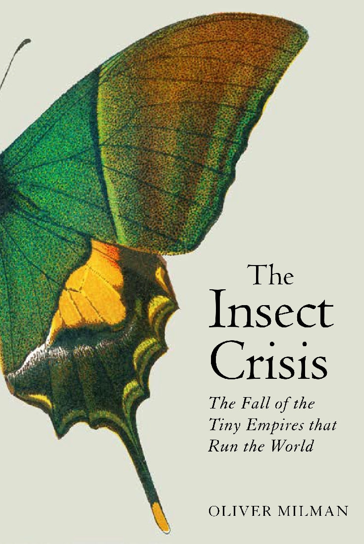 The Insect Crisis