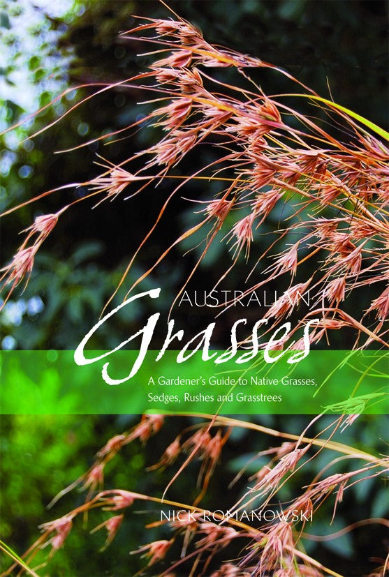 Australian Grasses