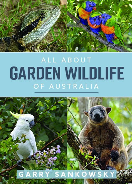 All About Garden Wildlife of A