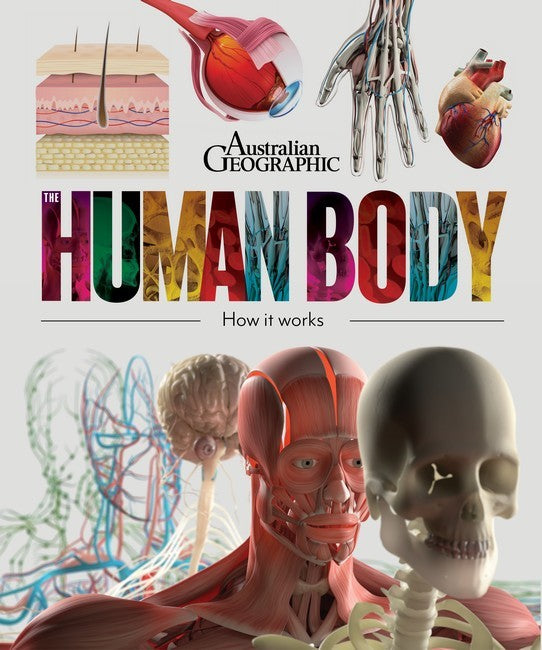 The Human Body