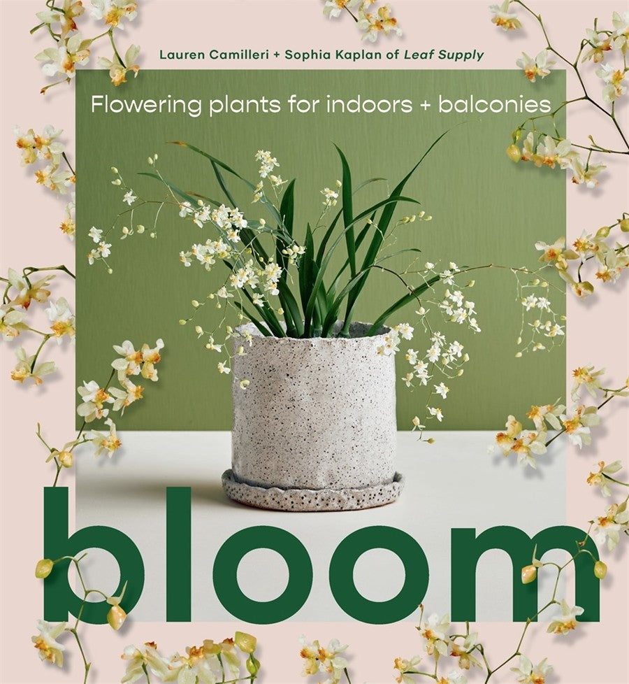 Bloom 2