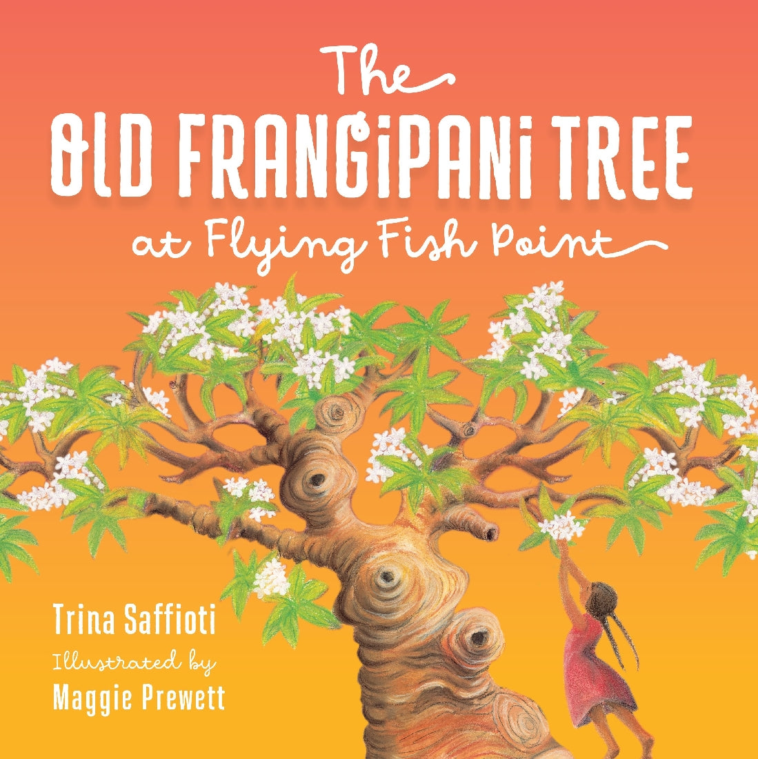 The Old Frangipani Tree at Flying Fish Point