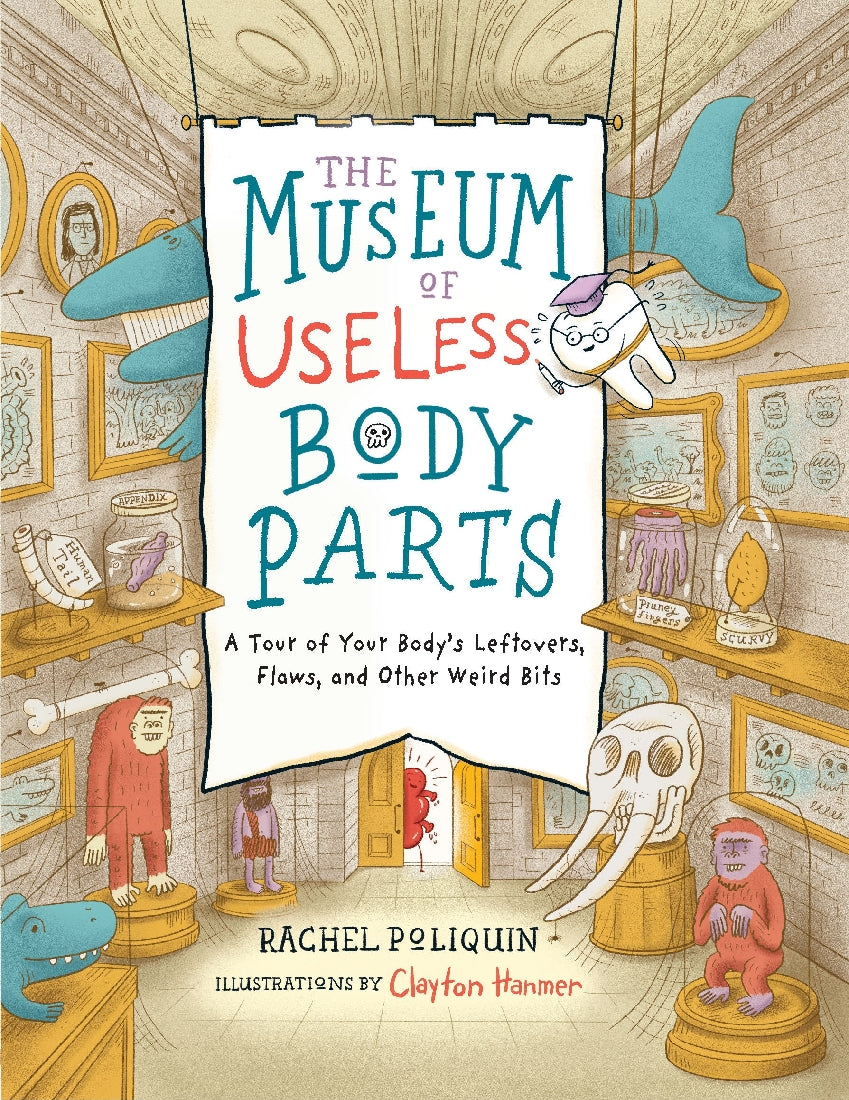 The Museum of Useless Body Parts