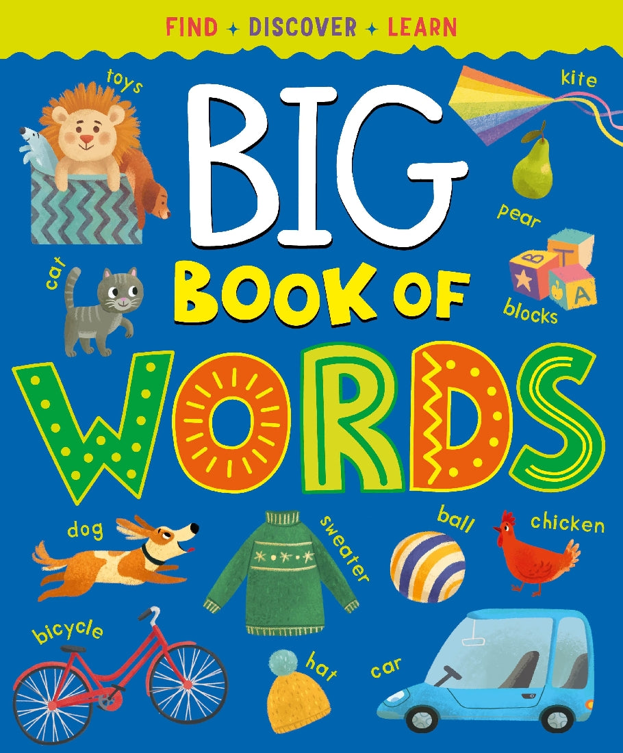 Big Book of Words (A Look and Find Learning Adventure)